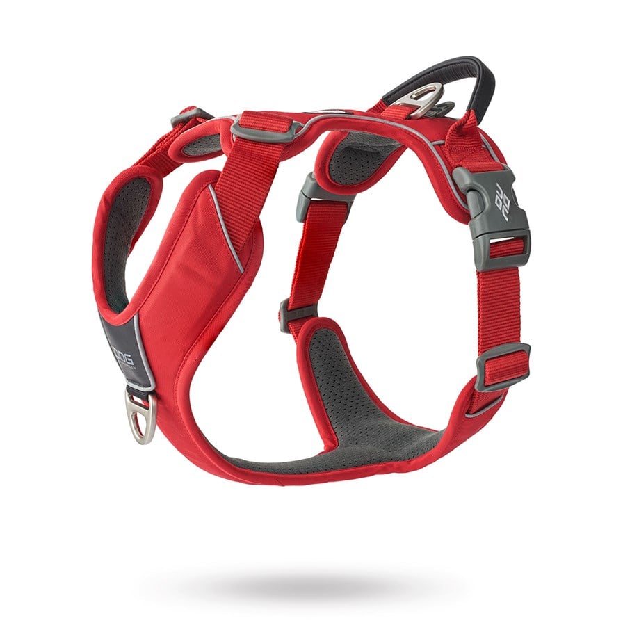 Comfort Walk Pro 3.0 Harness - Classic Red