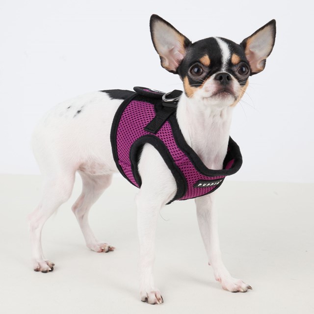 SOFT VEST Purple - Hundsele