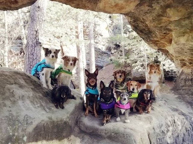 Zero DC Regntäcke Turkos