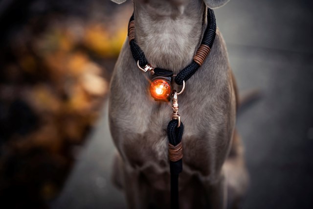 Orbiloc Safety Light Amber