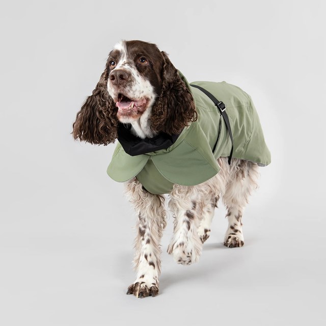 Paikka Visibility Winter Jacket - Grön