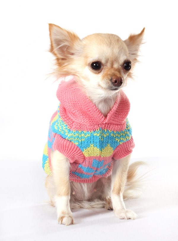 Alpine Hooded Sweater - Stickad hundtröja