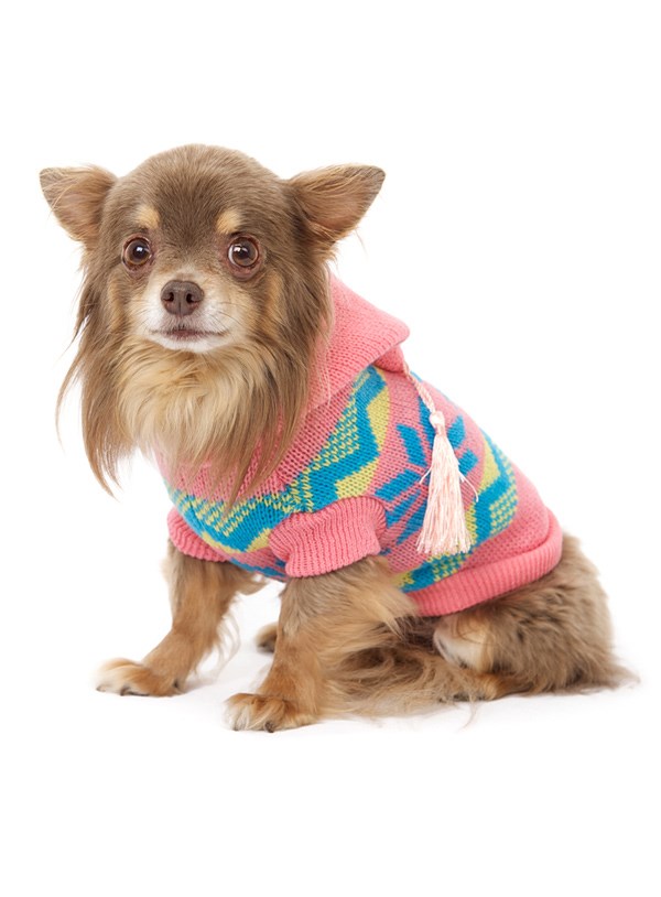 Alpine Hooded Sweater - Stickad hundtröja