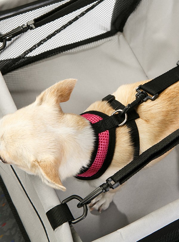 Bilsäte för Hunden