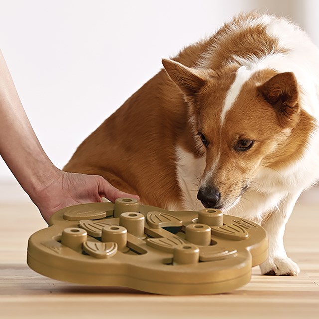Nina Ottosson DOG HIDE N SLIDE KOMPOSIT NATUR - AKTIVERINGSLEKSAK