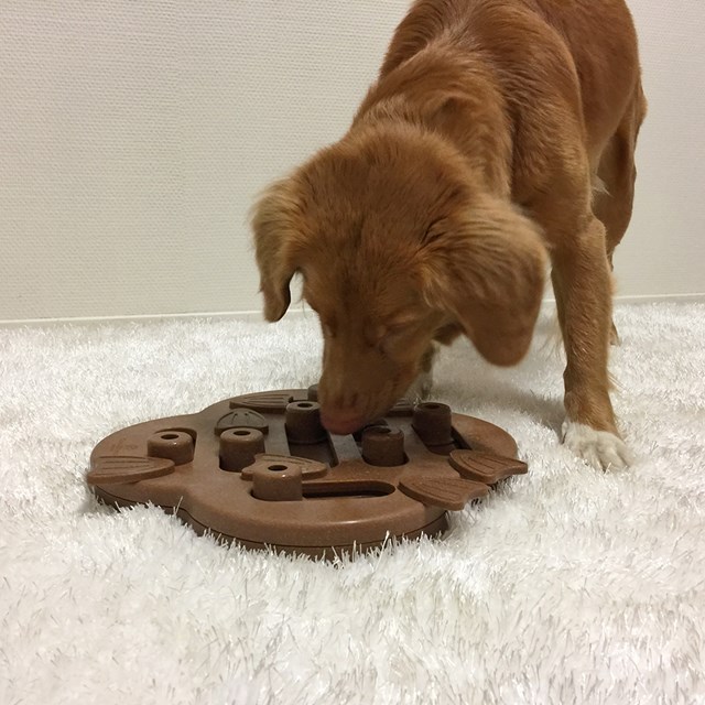 Nina Ottosson DOG HIDE N SLIDE KOMPOSIT NATUR - AKTIVERINGSLEKSAK