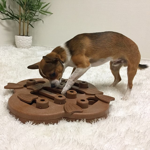 Nina Ottosson DOG HIDE N SLIDE KOMPOSIT NATUR - AKTIVERINGSLEKSAK