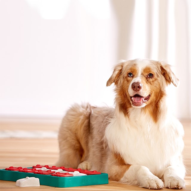 NINA OTTOSSON Dog Brick AKTIVERINGSLEKSAK