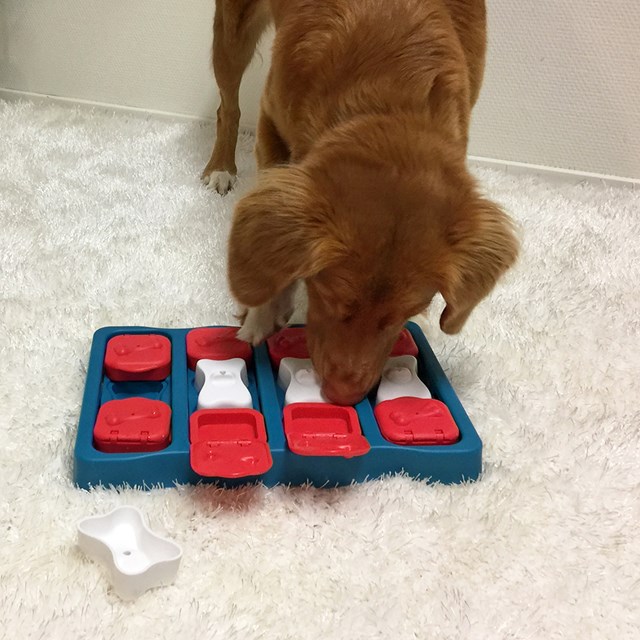NINA OTTOSSON Dog Brick AKTIVERINGSLEKSAK