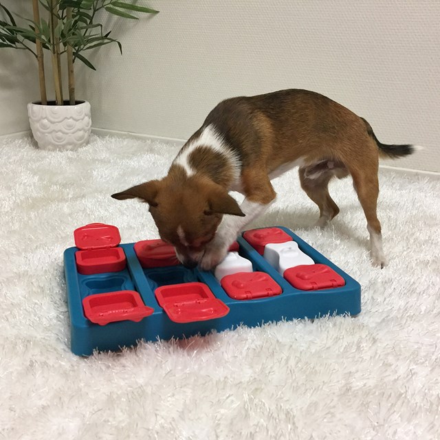 NINA OTTOSSON Dog Brick AKTIVERINGSLEKSAK