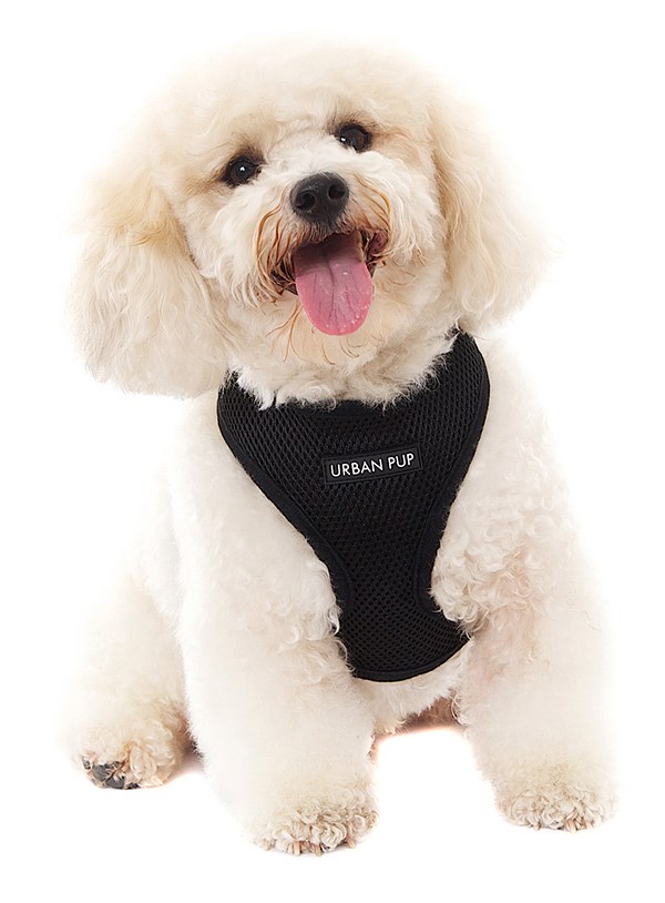 Jet Black Soft Mesh Hundsele