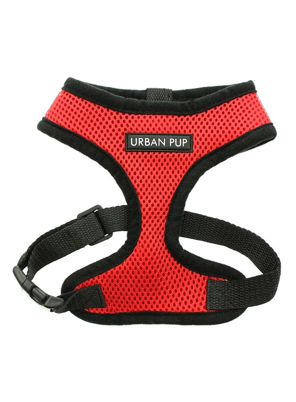 Cherry Red Soft Mesh Hundsele