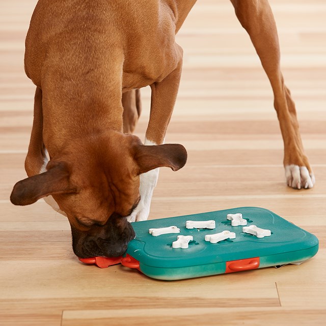 Nina Ottosson Dog Casino AKTIVERINGSLEKSAK