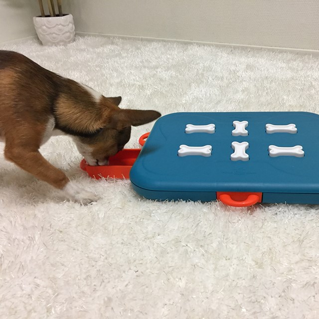 Nina Ottosson Dog Casino AKTIVERINGSLEKSAK