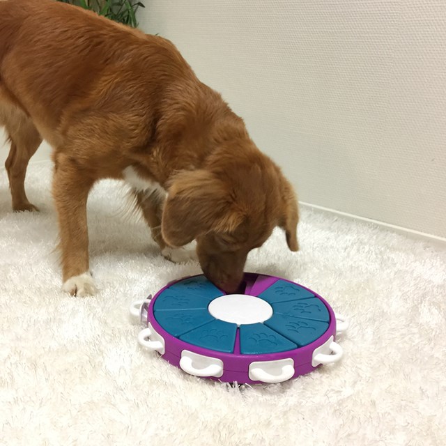 Nina Ottosson Dog Twister AKTIVERINGSLEKSAK
