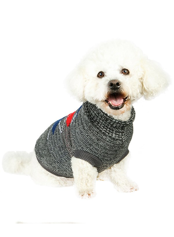 Charcoal Argyle Grå/Röd - Stickad Hundtröja