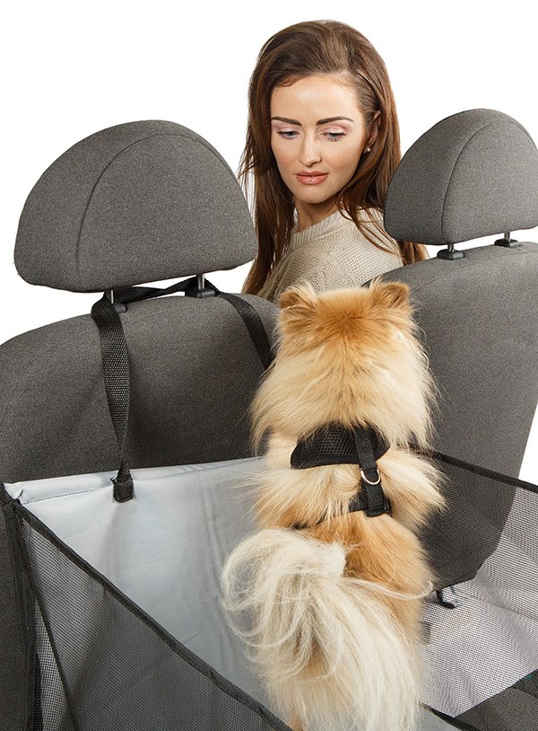 Bilbaksäte För Hunden