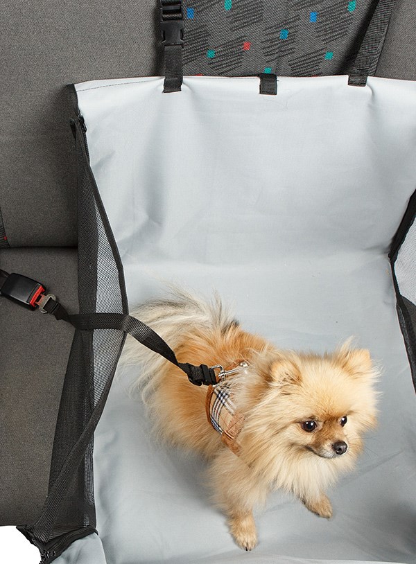 Bilbaksäte För Hunden