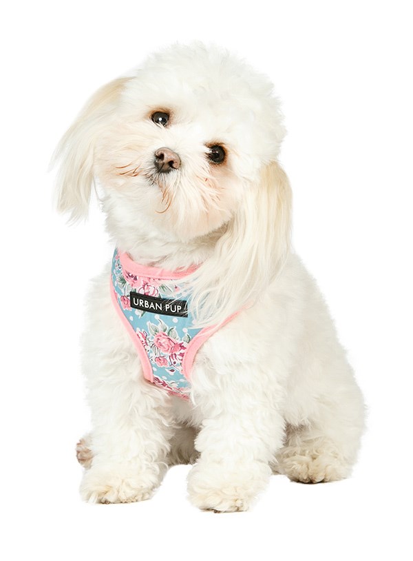 Vintage Rose Floral Hundsele