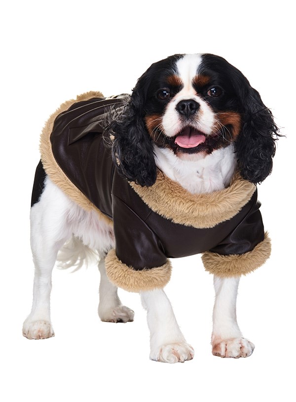 Brown Leather Flying Hundjacka - Small