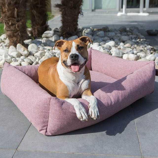 Fantail Snug Ortopedisk Hundbädd - Iconic Pink