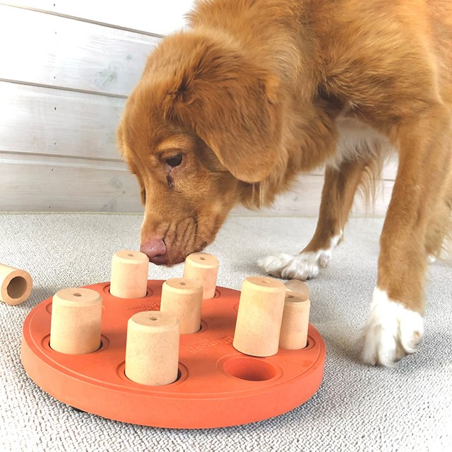 Nina Ottosson Dog Smart AKTIVERINGSLEKSAK - Orange