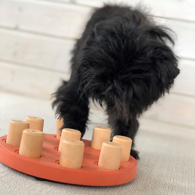 Nina Ottosson Dog Smart AKTIVERINGSLEKSAK - Orange