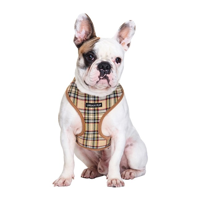 Brown Tartan Hundsele