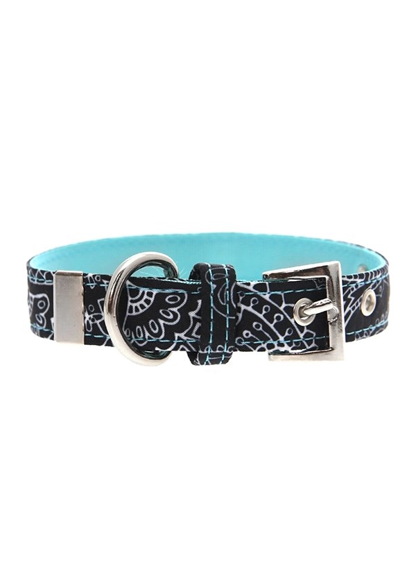 Black & Blue Paisley Hundhalsband