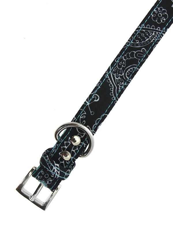 Black & Blue Paisley Hundhalsband