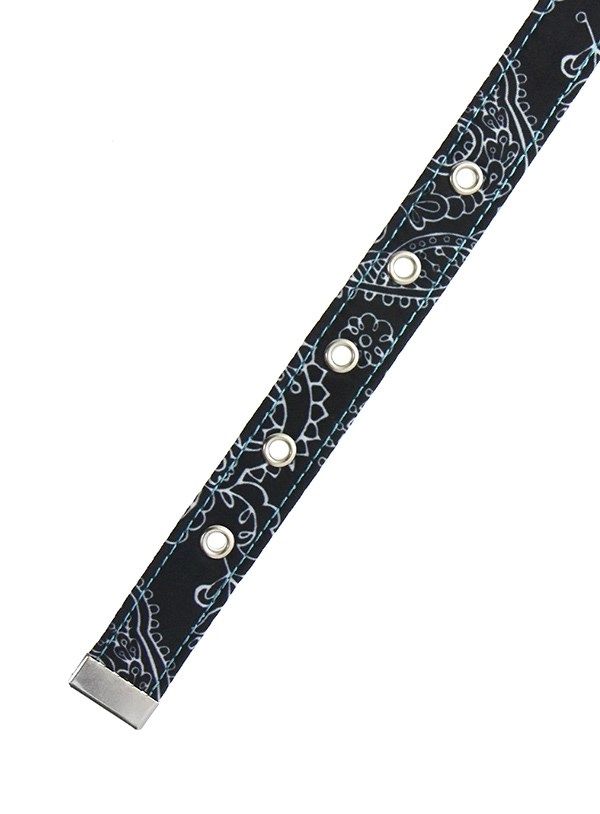 Black & Blue Paisley Hundhalsband