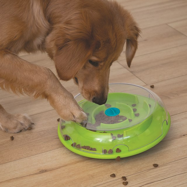 Outward Hound Dog Wobble Bowl Aktiveringsleksak