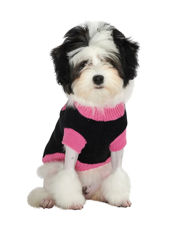 Black & Pink Mod - Stickad Hundtröja