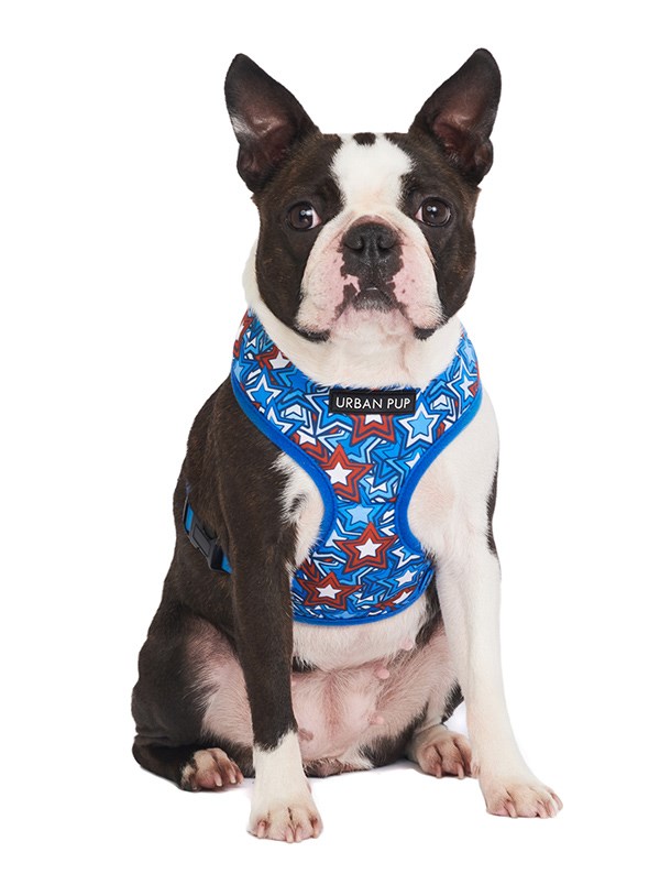 Hero Star - Hundsele
