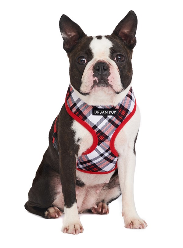 Red & White Plaid - Hundsele