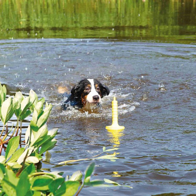 Dog Activity MOT Aqua Flytande Hundleksak Gul