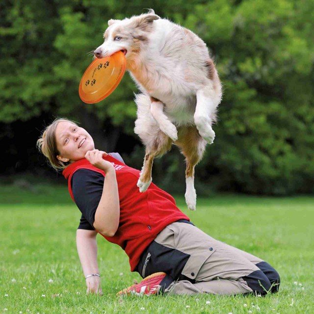 Bittålig Frisbee Plast ø19 cm