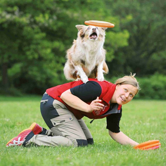 Bittålig Frisbee Plast ø19 cm