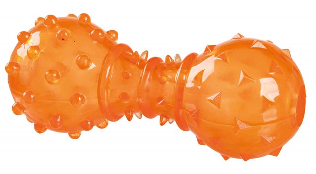 Dog Activity Snack Apport