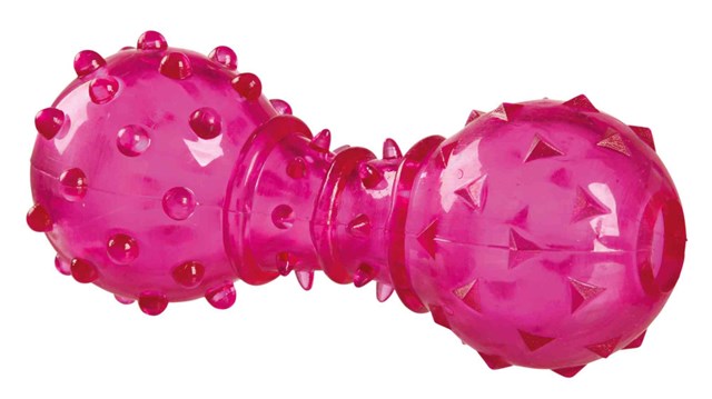 Dog Activity Snack Apport