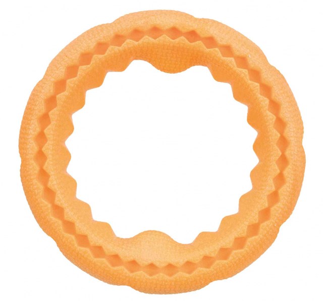 Ring Foam - Flytande Hundleksak