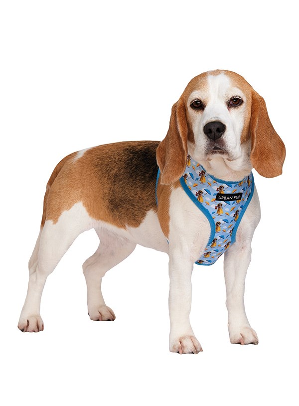 Gromit's Hundsele