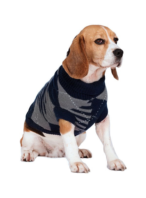 Blå/grå Diamond Sweater - Stickad hundtröja
