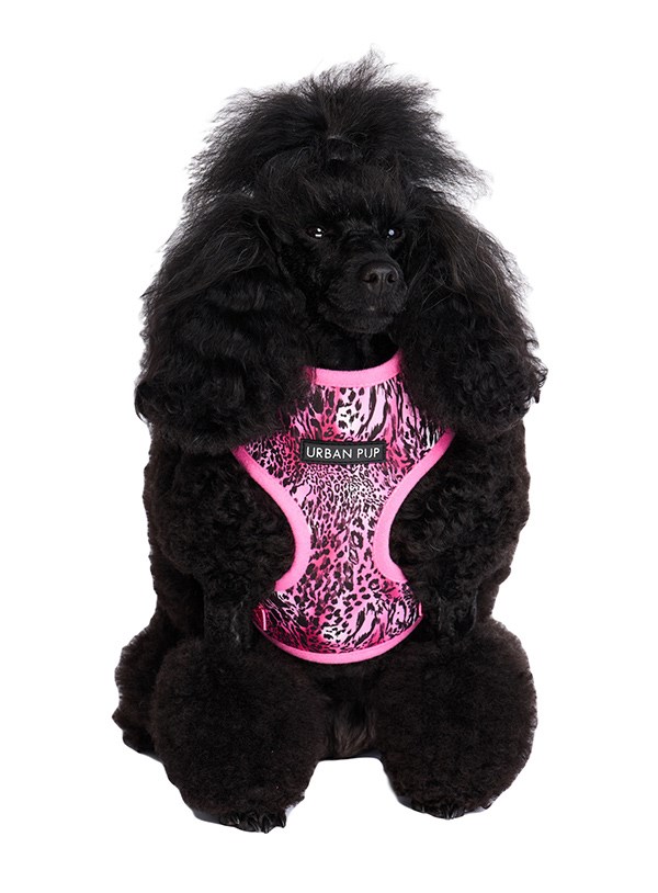 Pink Leopard Print Hundsele
