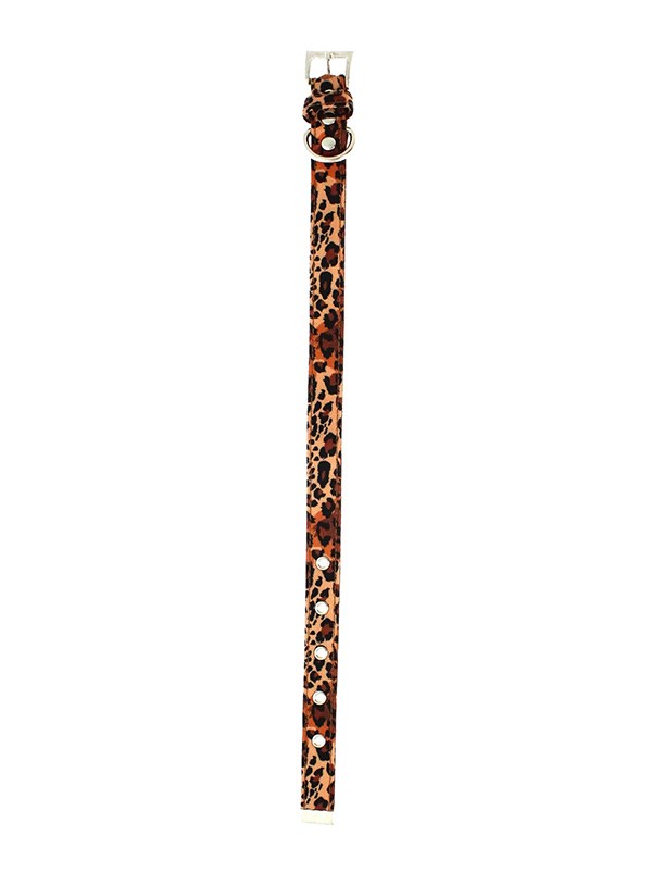 Cheetah Print HUNDHALSBAND