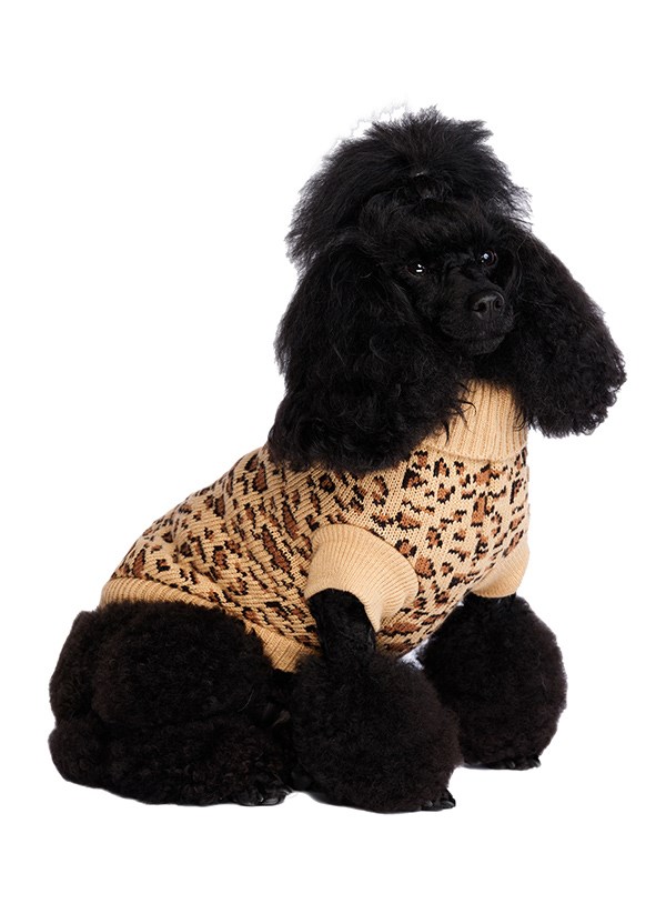 Leopard Print - STICKAD HUNDTRÖJA