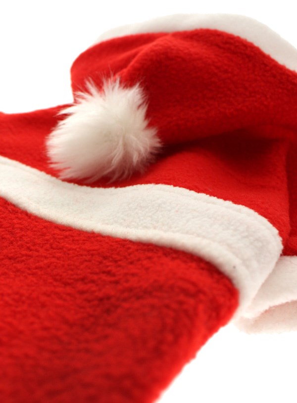Santa's Christmas - Hundjacka