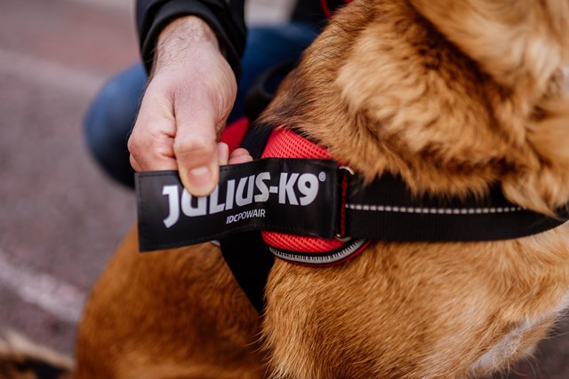 K9 Powair Sele Röd