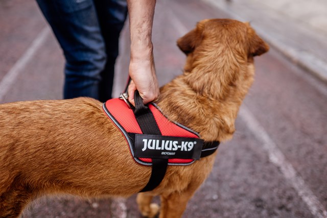 K9 Powair Sele Röd