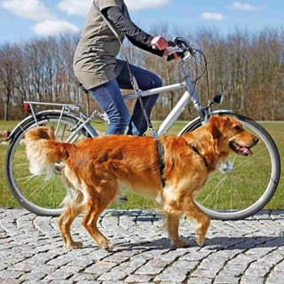 Cykel & Jogginglina Med Expander 25 Mm /1-2 M
